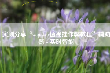 实测分享“wepoker透视挂作弊教程”辅助器 - 实时智能