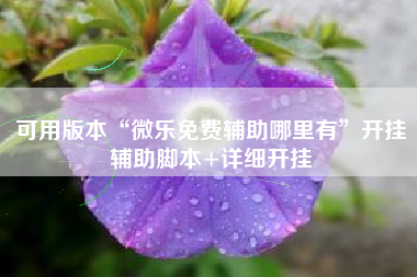可用版本“微乐免费辅助哪里有”开挂辅助脚本+详细开挂