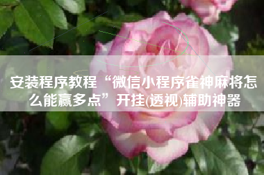 安装程序教程“微信小程序雀神麻将怎么能赢多点	”开挂(透视)辅助神器