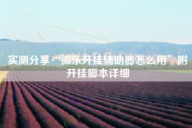 实测分享“微乐开挂辅助器怎么用”附开挂脚本详细