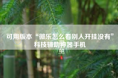 可用版本“微乐怎么看别人开挂没有”科技辅助神器手机