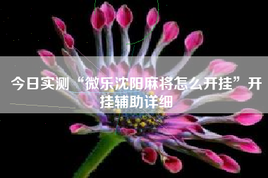 今日实测“微乐沈阳麻将怎么开挂”开挂辅助详细