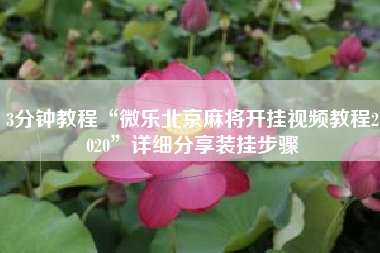 3分钟教程“微乐北京麻将开挂视频教程2020”详细分享装挂步骤