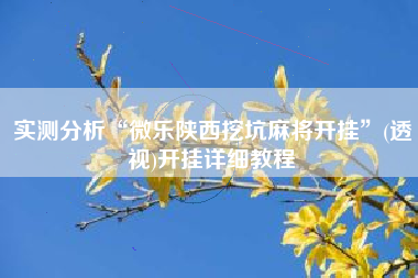 实测分析“微乐陕西挖坑麻将开挂”(透视)开挂详细教程