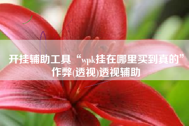 开挂辅助工具“wpk挂在哪里买到真的	”作弊(透视)透视辅助