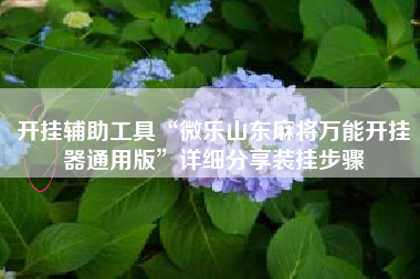 开挂辅助工具“微乐山东麻将万能开挂器通用版	”详细分享装挂步骤