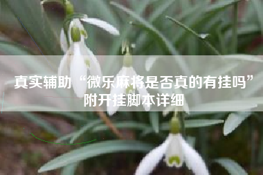 真实辅助“微乐麻将是否真的有挂吗”附开挂脚本详细