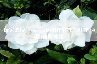 玩家必搜“wepoker德州作弊挂	”开挂(透视)辅助神器