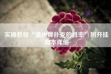 实操教程“德州牌扑克的胜率”附开挂脚本详细