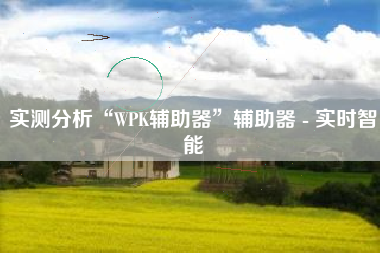 实测分析“WPK辅助器”辅助器 - 实时智能