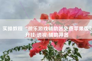 实操教程“微乐游戏辅助器免费苹果版	”开挂(透视)辅助神器