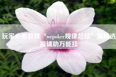 玩家必看教程“wepoker规律总结”揭秘透视辅助万能挂