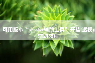 可用版本“Appoker辅助工具”开挂(透视)辅助教程