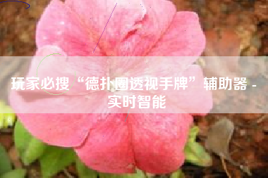 玩家必搜“德扑圈透视手牌	”辅助器 - 实时智能