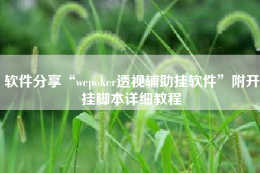 软件分享“wepoker透视辅助挂软件”附开挂脚本详细教程