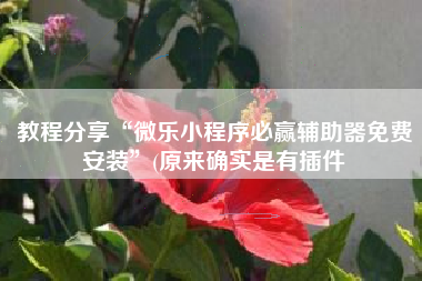 教程分享“微乐小程序必赢辅助器免费安装”(原来确实是有插件