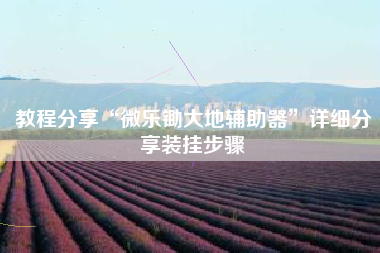 教程分享“微乐锄大地辅助器”详细分享装挂步骤