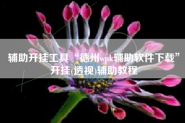 辅助开挂工具“德州wpk辅助软件下载	”开挂(透视)辅助教程