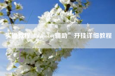 实操教程“wepoker辅助”开挂详细教程