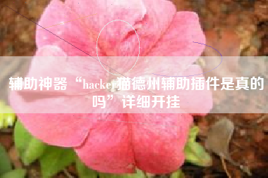 辅助神器“hacker猫德州辅助插件是真的吗”详细开挂
