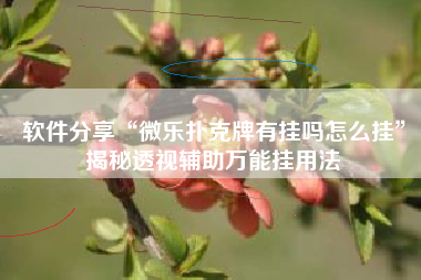 软件分享“微乐扑克牌有挂吗怎么挂	”揭秘透视辅助万能挂用法