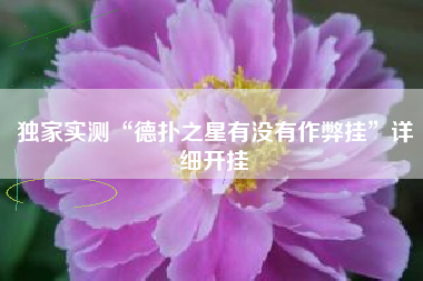 独家实测“德扑之星有没有作弊挂”详细开挂