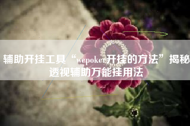 辅助开挂工具“wepoker开挂的方法”揭秘透视辅助万能挂用法