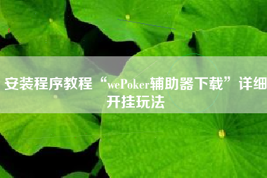 安装程序教程“wePoker辅助器下载”详细开挂玩法
