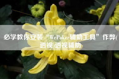 必学教你安装“WePoker辅助工具”作弊(透视)透视辅助
