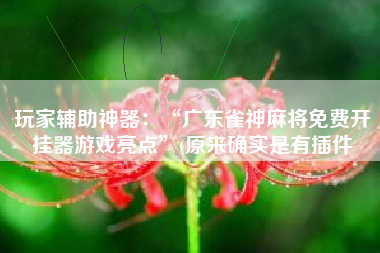 玩家辅助神器：“广东雀神麻将免费开挂器游戏亮点”(原来确实是有插件