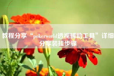 教程分享“pokerworld透视辅助工具	”详细分享装挂步骤