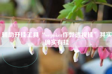 辅助开挂工具“wepoker作弊透视挂	”其实确实有挂