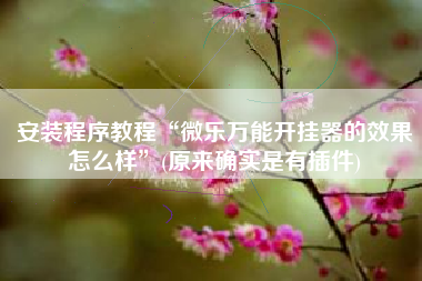 安装程序教程“微乐万能开挂器的效果怎么样	”(原来确实是有插件)