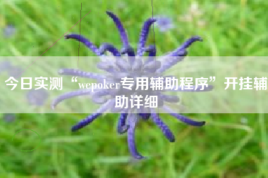 今日实测“wepoker专用辅助程序	”开挂辅助详细