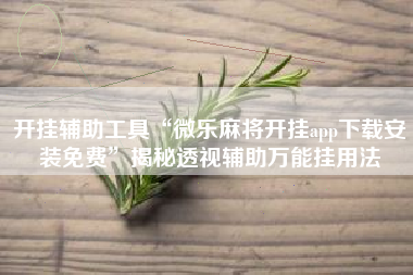 开挂辅助工具“微乐麻将开挂app下载安装免费	”揭秘透视辅助万能挂用法