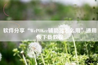 软件分享“WePOKer辅助器怎么用”通用版下载教程