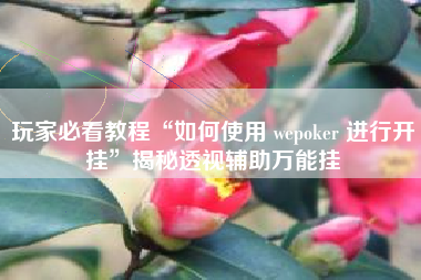 玩家必看教程“如何使用 wepoker 进行开挂”揭秘透视辅助万能挂