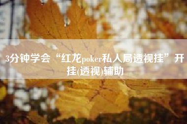 3分钟学会“红龙poker私人局透视挂”开挂(透视)辅助