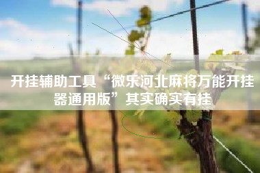 开挂辅助工具“微乐河北麻将万能开挂器通用版”其实确实有挂