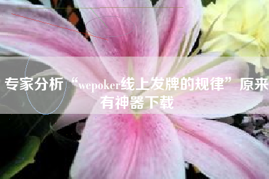 专家分析“wepoker线上发牌的规律”原来有神器下载