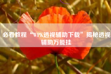 必看教程“WPK透视辅助下载	”揭秘透视辅助万能挂
