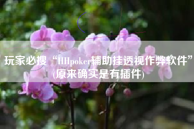 玩家必搜“HHpoker辅助挂透视作弊软件	”(原来确实是有插件)