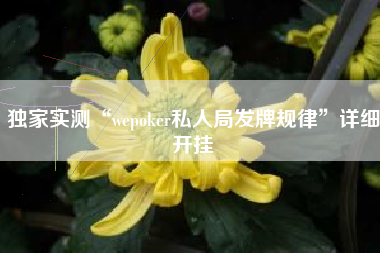 独家实测“wepoker私人局发牌规律”详细开挂
