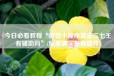 今日必看教程“微信小程序微乐二七王有辅助吗	”(原来确实是有插件)