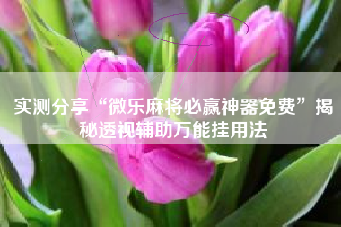 实测分享“微乐麻将必赢神器免费”揭秘透视辅助万能挂用法