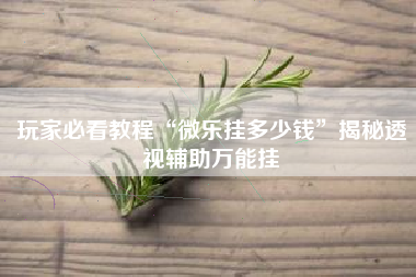 玩家必看教程“微乐挂多少钱”揭秘透视辅助万能挂