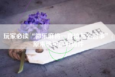 玩家必读“微乐麻将一直输怎么回事”(原来确实是有插件