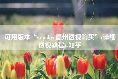 可用版本“wepoker德州透视购买”(详细透视教程)-知乎