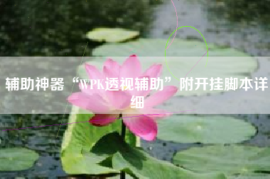辅助神器“WPK透视辅助	”附开挂脚本详细