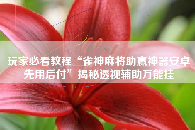 玩家必看教程“雀神麻将助赢神器安卓先用后付”揭秘透视辅助万能挂